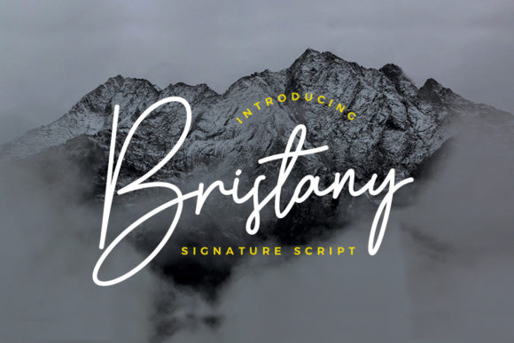 Bristany: The Relaxed Script Font for Modern Brands