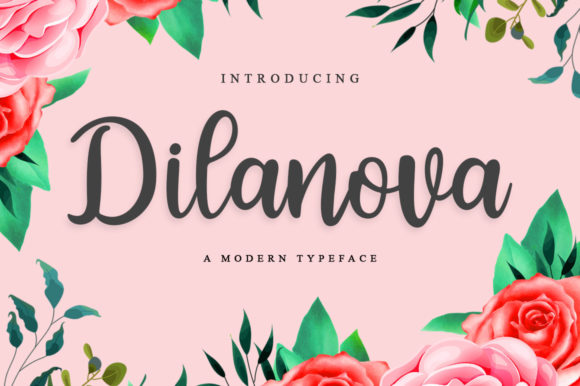 Dilanova: The Elegant Script Font for Modern Design