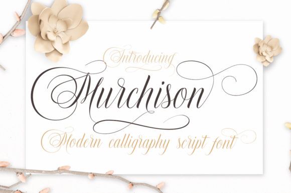 Murchison: A Modern Script Font with Bold Swashes