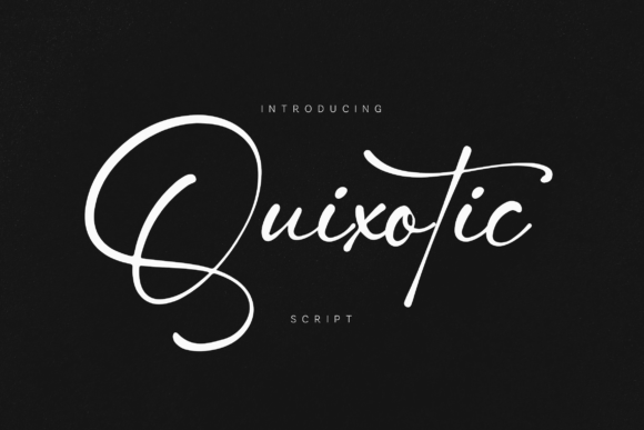 Quixotic: A Signature Script That Masters the Loop
