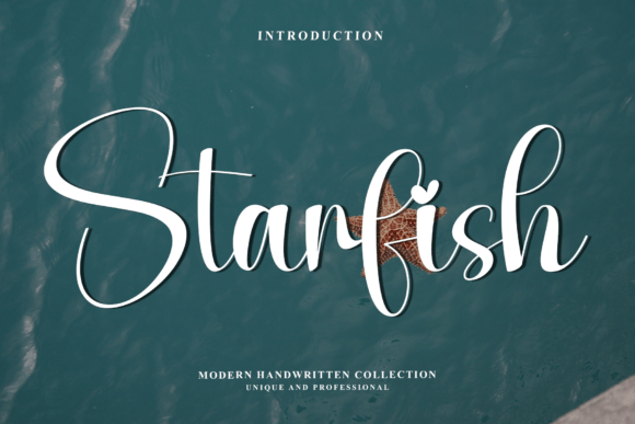 The Graceful Flow of the Starfish Script Font